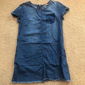 True Craft Denim Dress